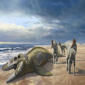 تكشف الحفريات عن نوع جديد من ديناصورات منقار البط طوله ما بين 3-4 أمتار